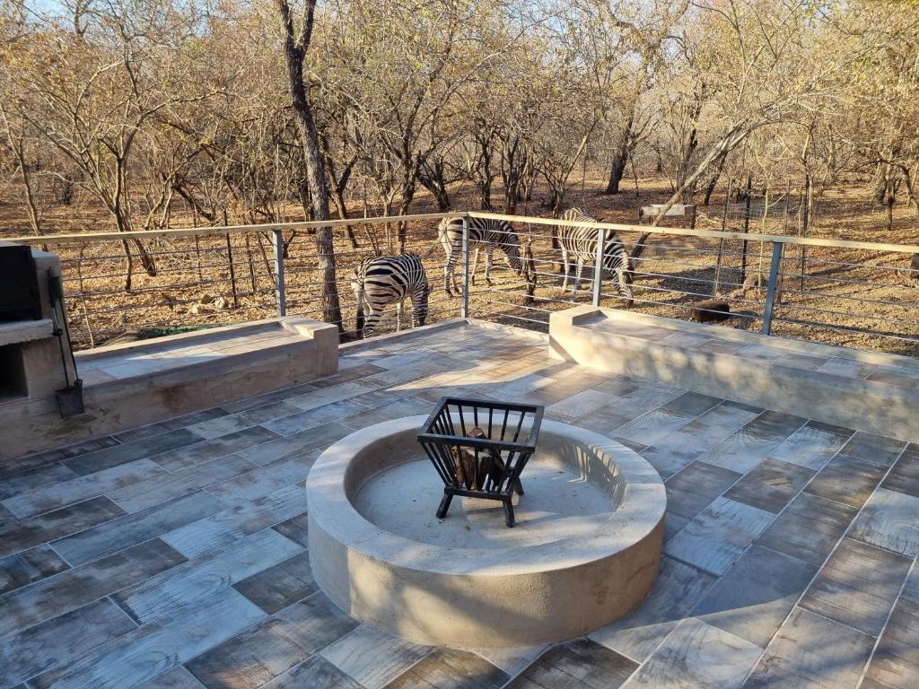 Outdoor boma for evening braais